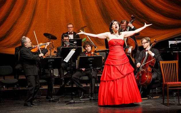 Erlebnissommer 2025 Neustadt MusikSommer Jan Braeuer